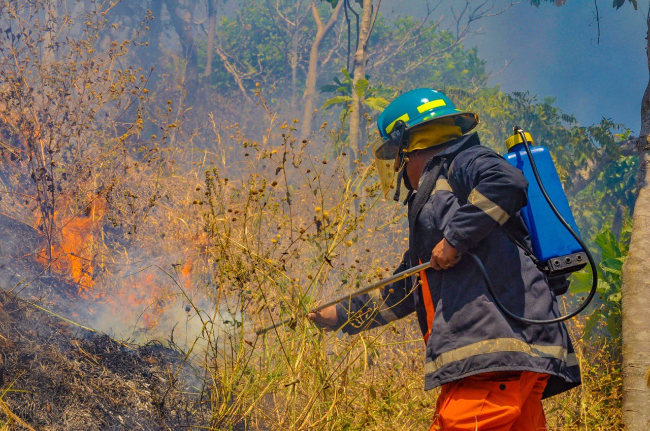 Bomberos Sofocan Oportunamente Incendios En Cabañas Y Chalatenango ...