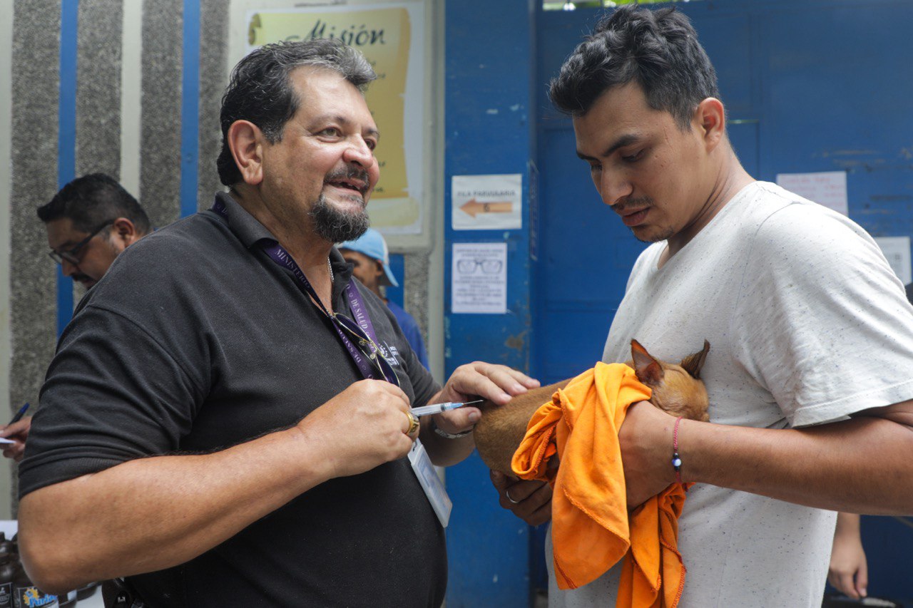 Vacunación de chuchos y gatos es uno de los servicios 